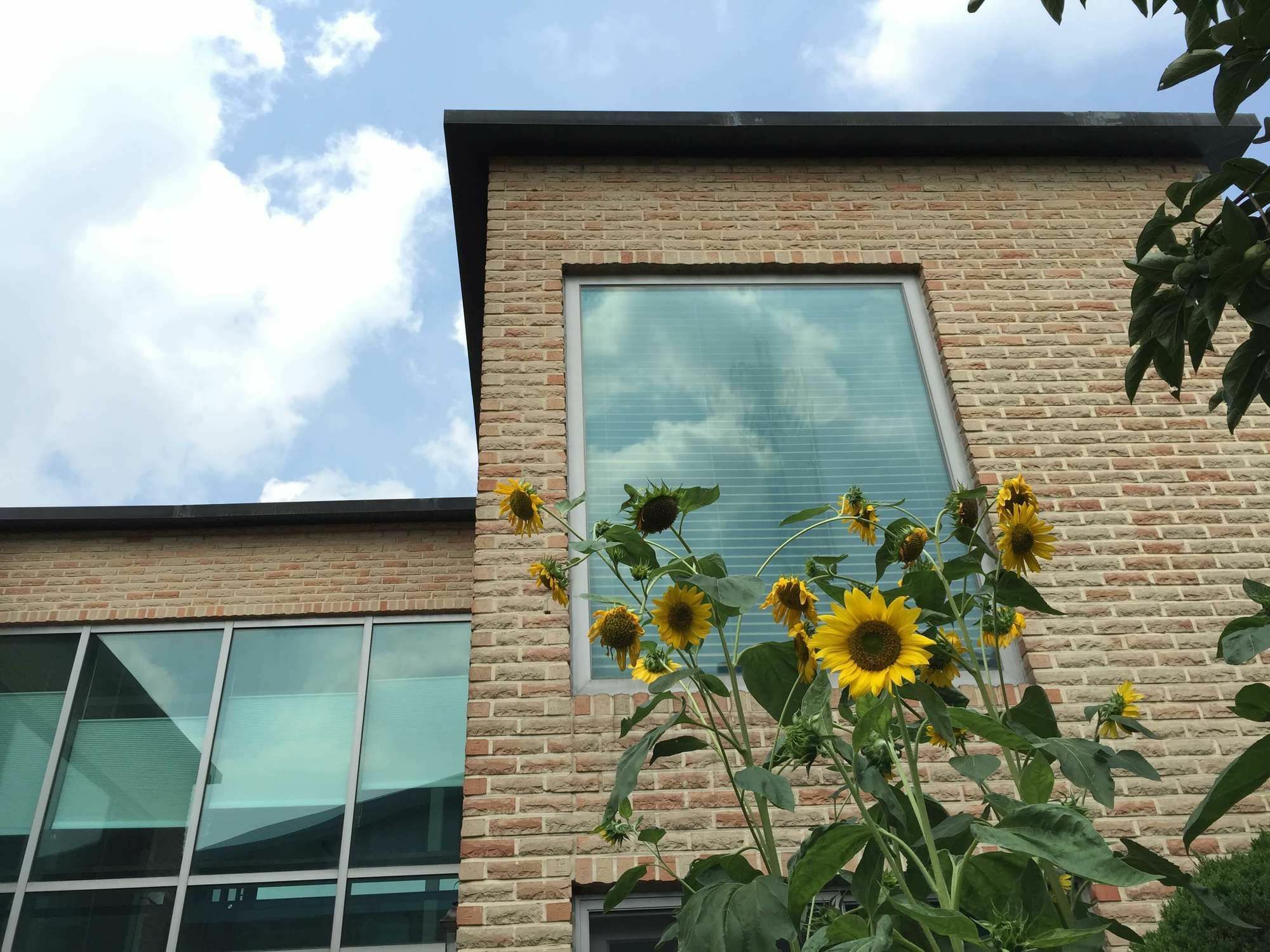 Puzzlestay House Seoul Exterior foto